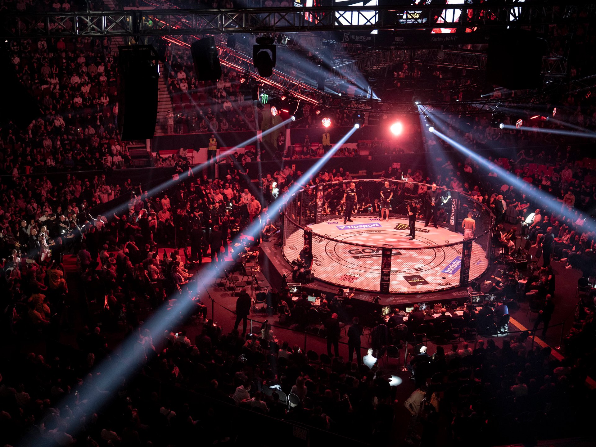Oktagon, MMA