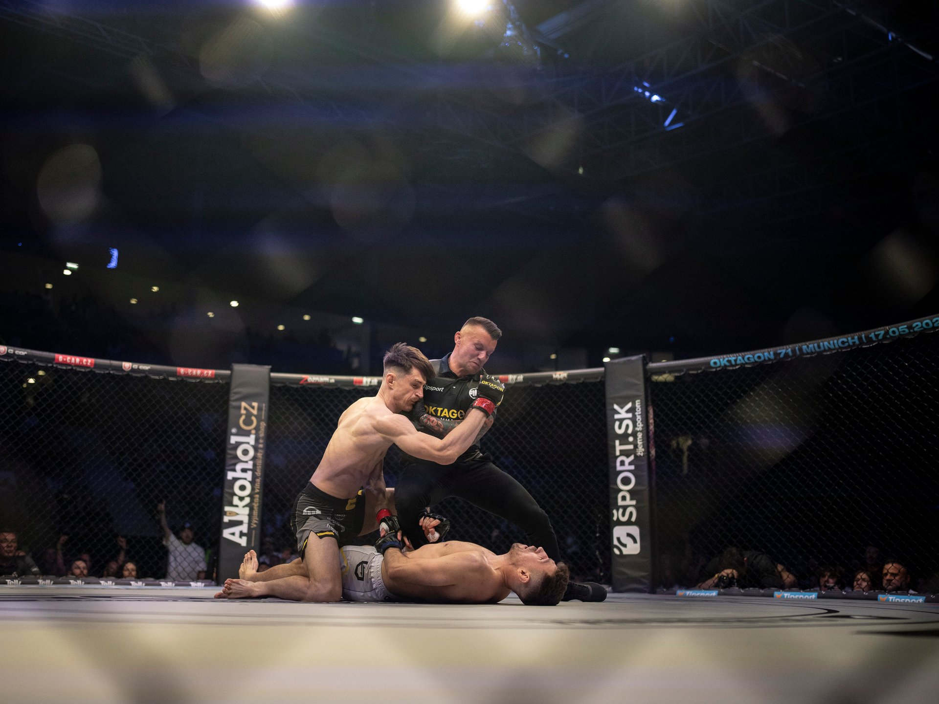 Oktagon, MMA