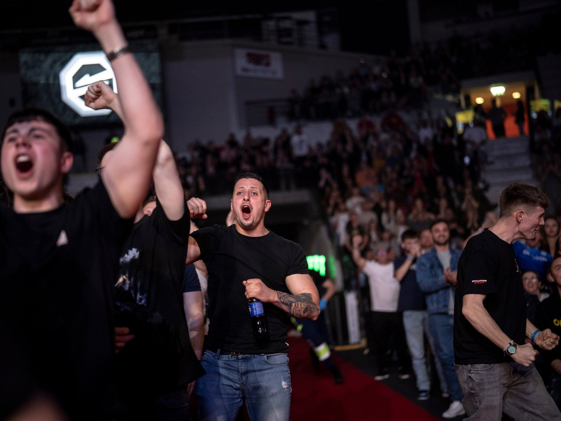 Oktagon, MMA