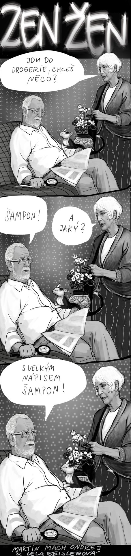 Zen žen