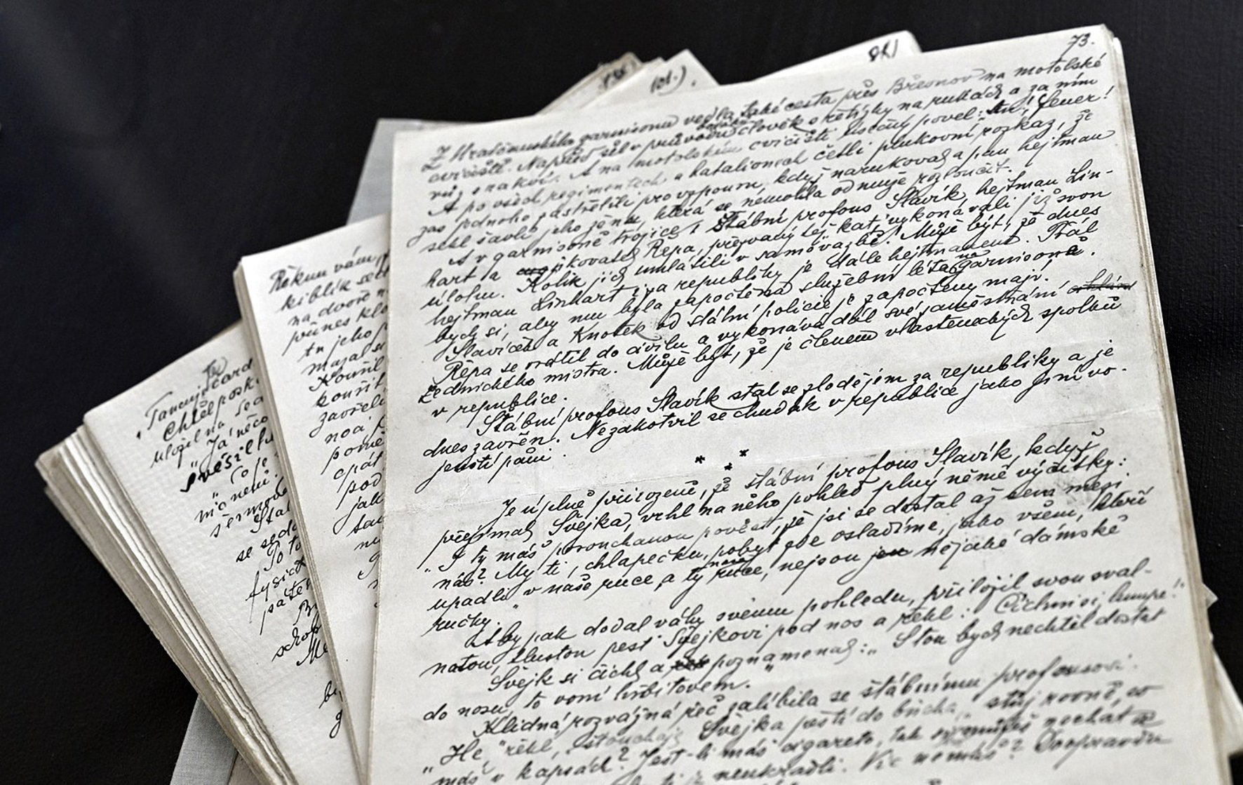 Osudy dobrého vojáka Švejka za světové války, Vepřová historie, výstava, výročí, spisy