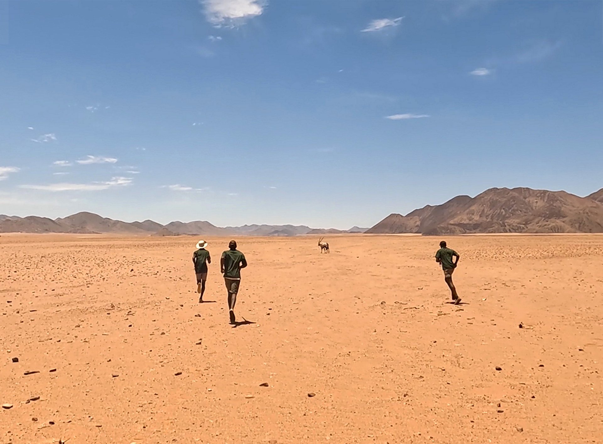 Jako před miliony let. Po téměř dvou hodinách pronásledování v Namibské poušti se vzdálenost mezi lovci pracujícími pro vědecký tým a kořistí zkracuje
