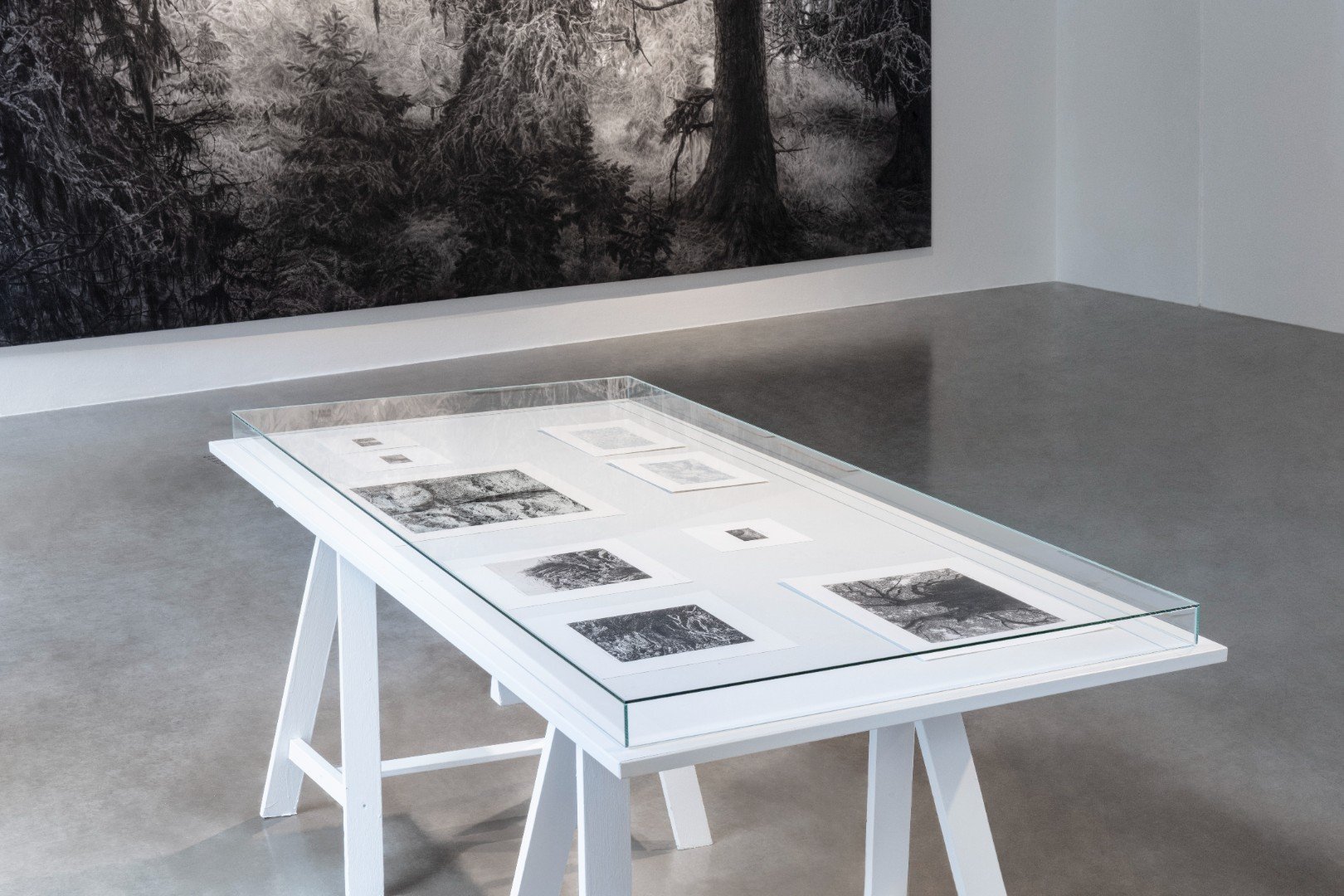 Když déšť utichne Kvalitář 2025