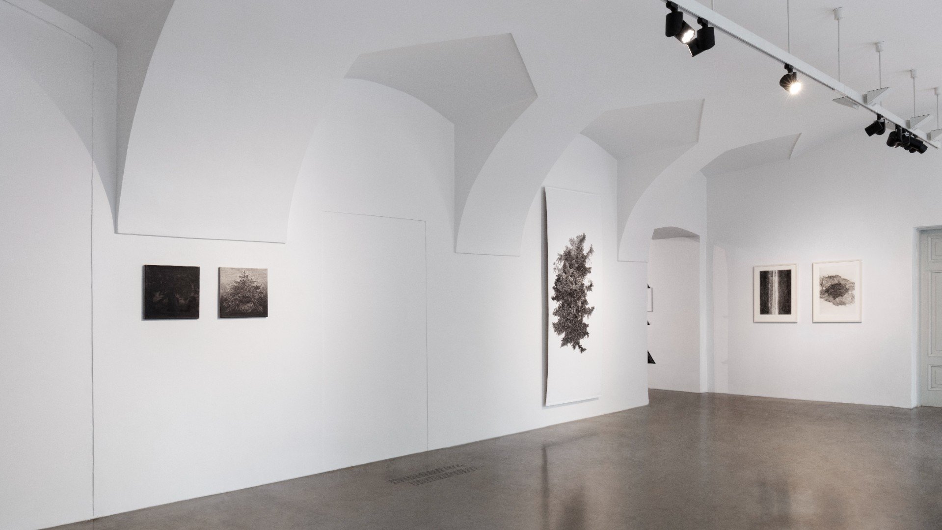 Když déšť utichne Kvalitář 2025 