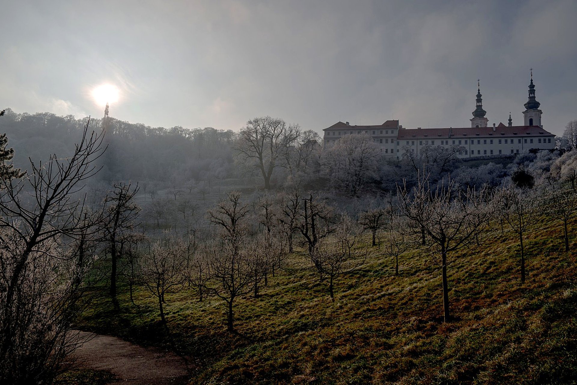 Rouhlédněte a seznamte se s šestiočkou bezmužnou