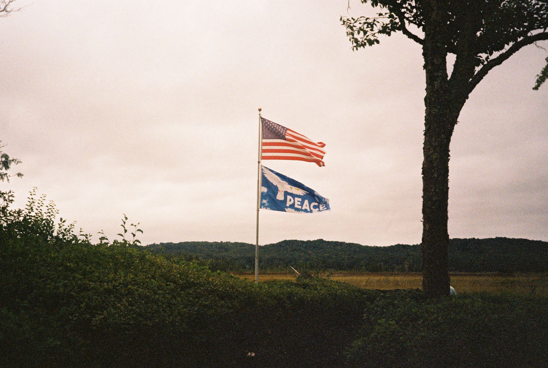 Pensylvánie, Michigan a Wisconsin jsou těmi nejdůležitějšími státy na misce volebních vah. (Gary Knapp, Michigan)